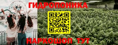 гидра Можайск