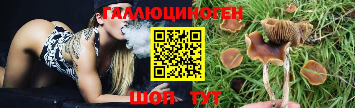Галлюциногенные грибы MAGIC MUSHROOMS Усть-Джегута